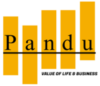 Logo Resmi website PanduKurniawan.com Pembicara Digital Marketing BNSP di Semarang