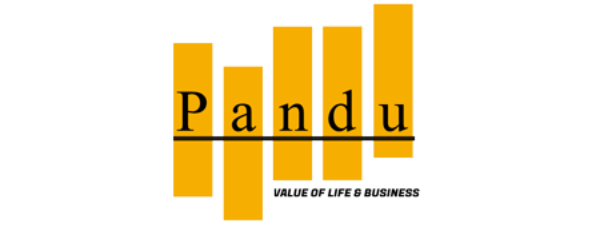 Pandu Kurniawan Pembicara Digital Marketing BNSP di Semarang (32)